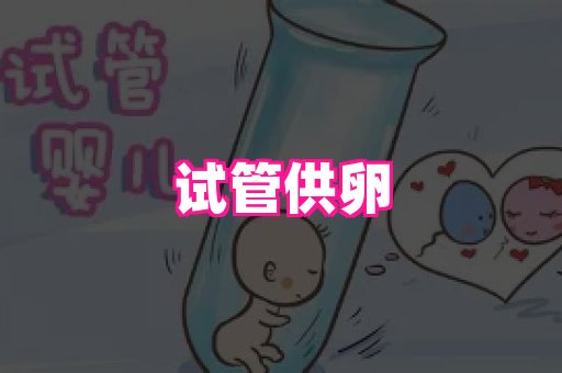 生殖助孕网站 1